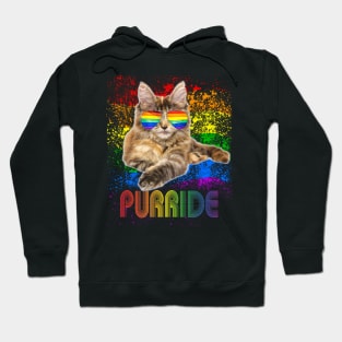 Pride Cat LGBT Gay Lesbian Hoodie